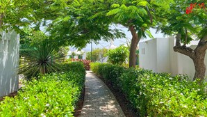 A pathway flanked by lush greenery and white walls, leading to a white building with a dome. - Bungalows Cordial Sandy Golf (San Bartolomé de Tirajana)