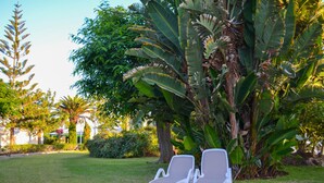 A garden with two white lounge chairs and a large banana tree. - Bungalows Cordial Sandy Golf (San Bartolomé de Tirajana)