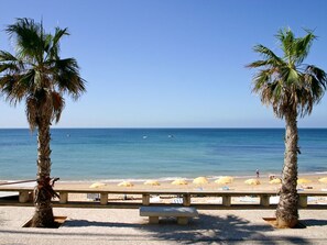Una spiaggia con palme, una riva sabbiosa e un cielo azzurro limpido.