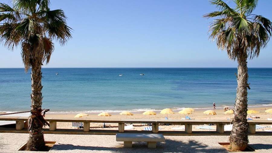 Apartamentos do Parque