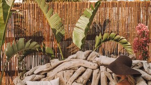 A woman reading a book on a wooden bench surrounded by natural elements like bamboo and plants. - Hotel Galfi - Boutique & Adults Only (Sant Antoni de Portmany)