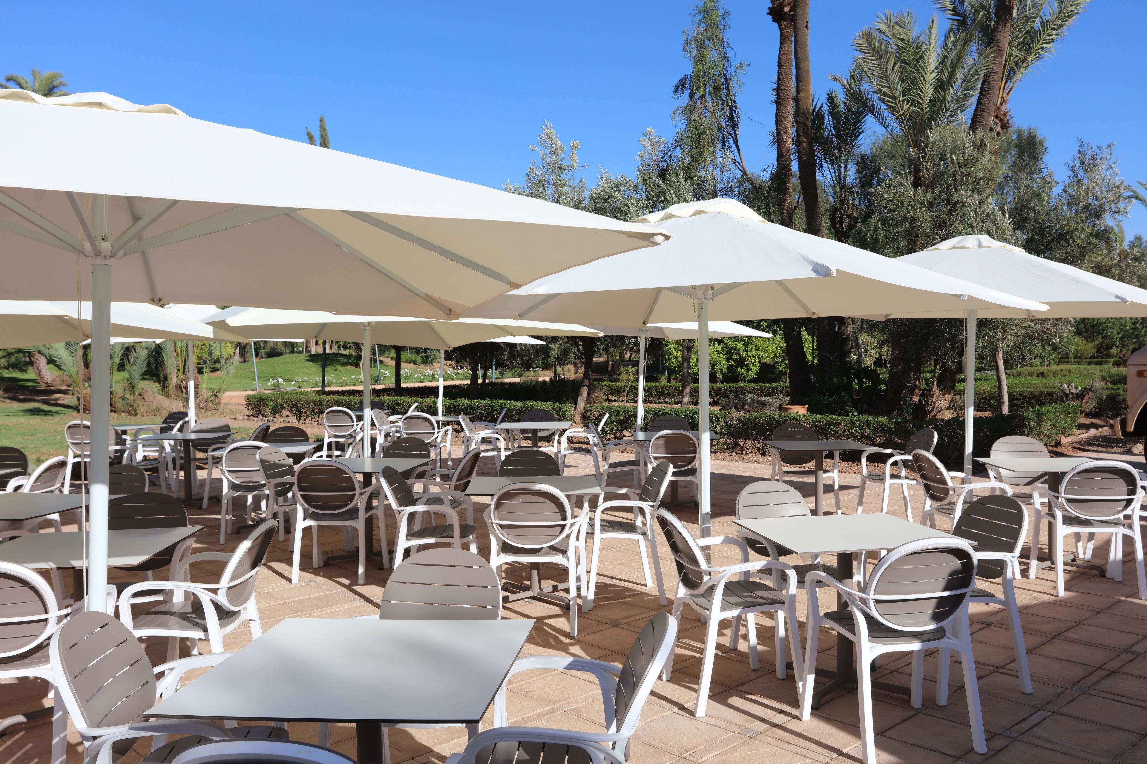 An outdoor café with white tables and chairs, shaded by large white umbrellas, set against a backdrop of palm trees and a clear blue sky.