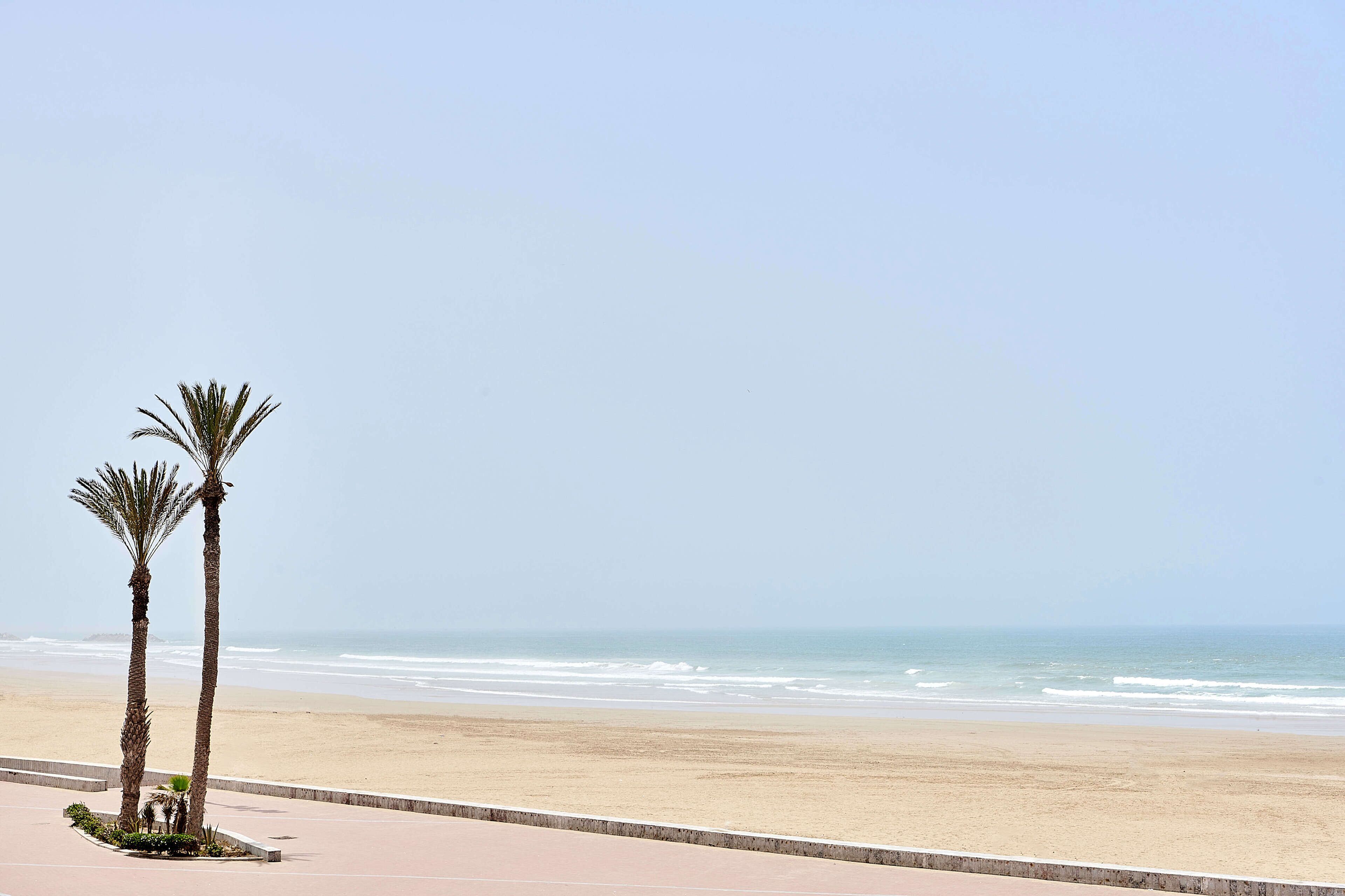 Ein Strand mit zwei Palmen und blauem Himmel.