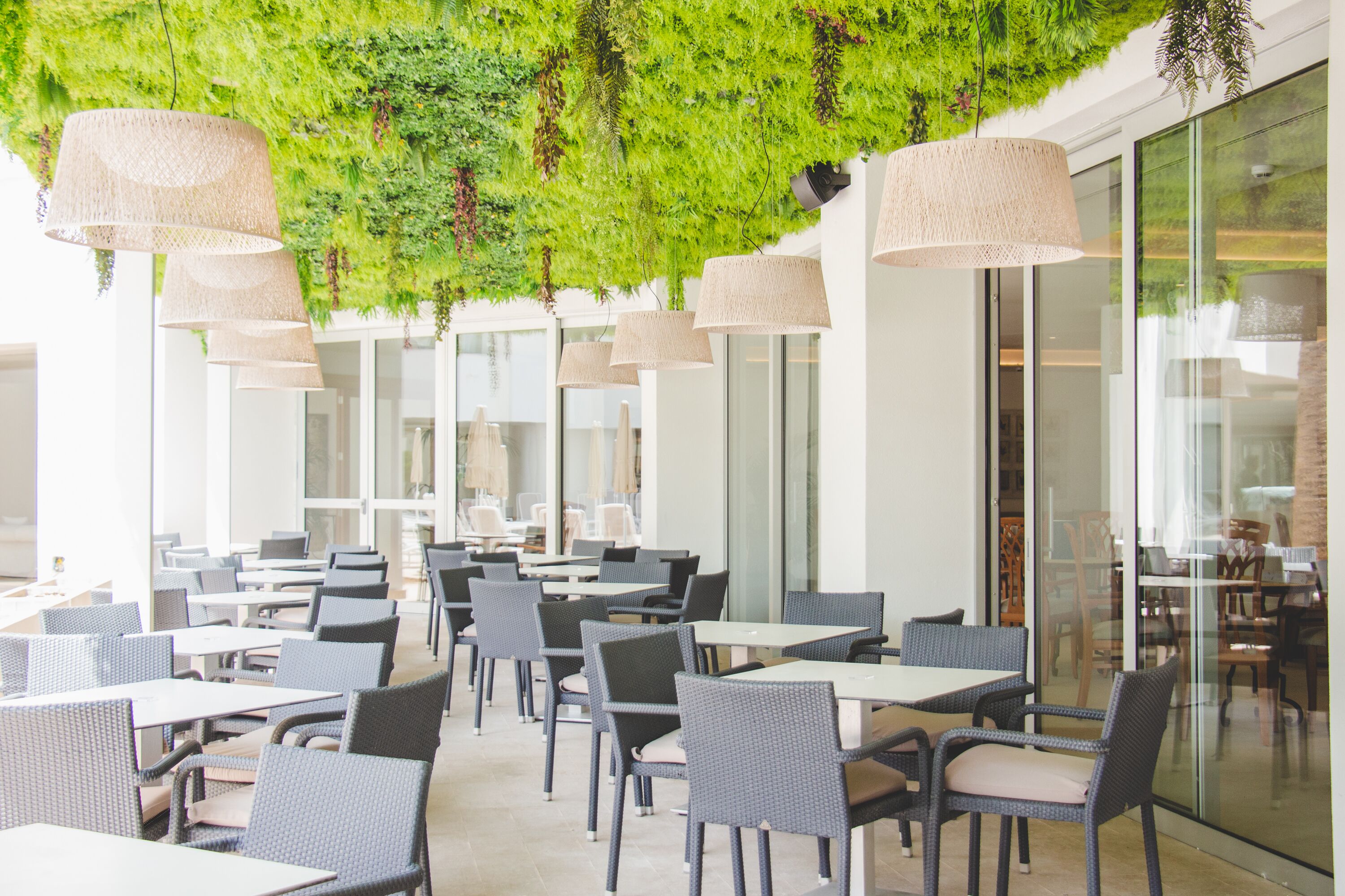 A modern outdoor dining area with wicker chairs and tables, green foliage hanging from the ceiling, and large windows.