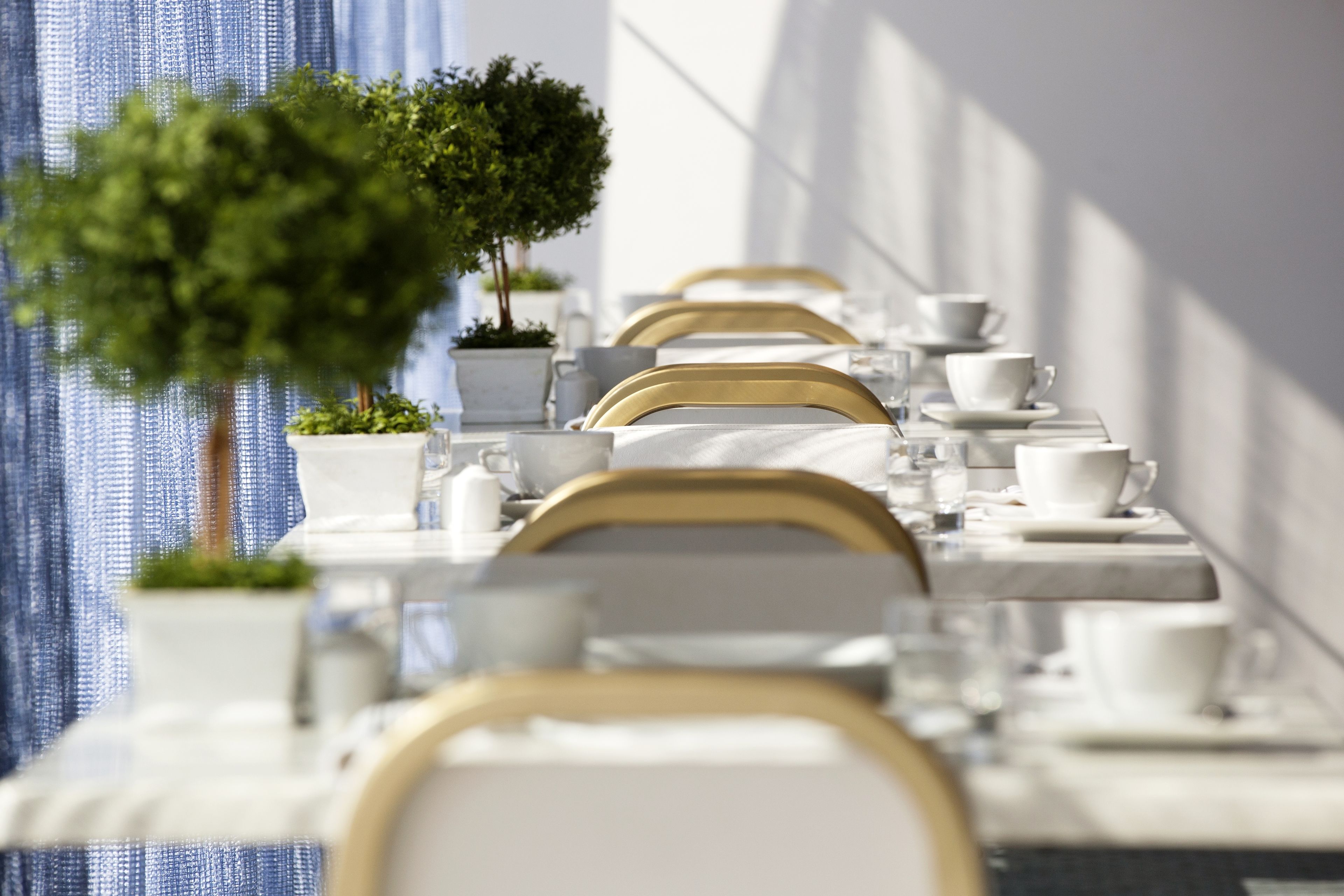 A long dining table with chairs, white tableware, and potted plants.