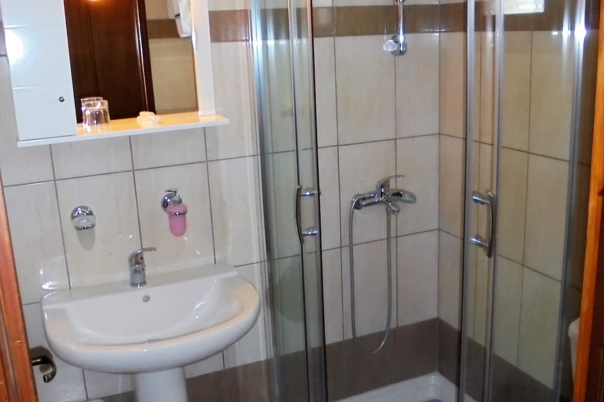 shower, free toiletries, hair dryer, towels