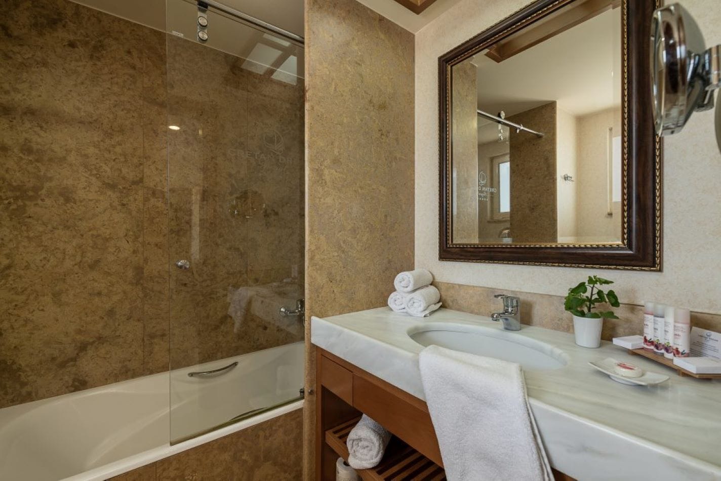 A bathroom with a glass-enclosed shower, a marble sink, a mirror, and a small plant on the vanity.