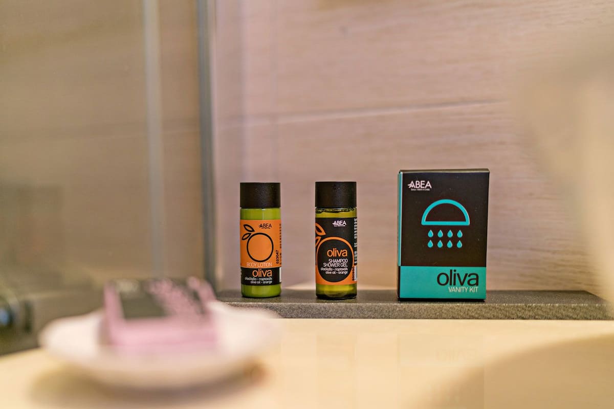 Shower, free toiletries, hair dryer, slippers