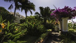 Garden - Quinta Bela Sao Tiago (Funchal)