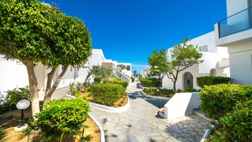 Vista desde la propiedad