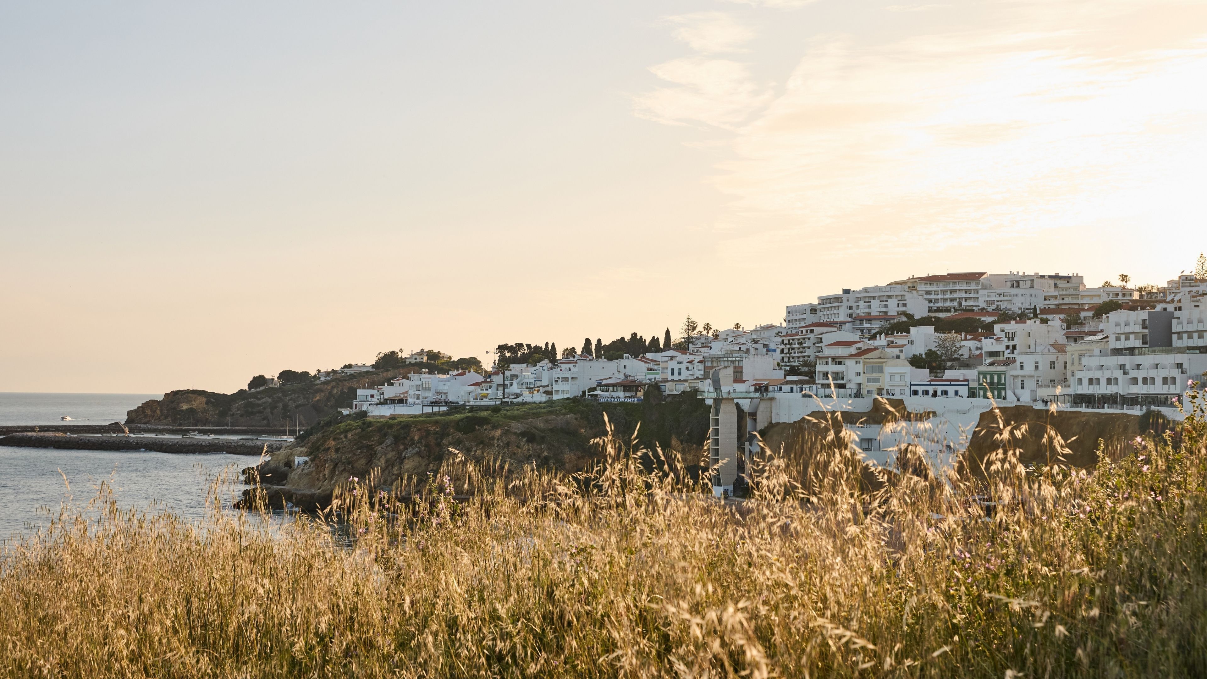 A coastal town with white buildings, a rocky shoreline, and a clear sky.
