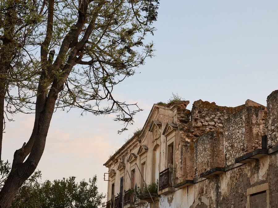 Un edificio histórico con daños estructurales visibles y vegetación excesiva.