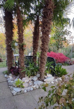 Exterior - Dream (Mestre)