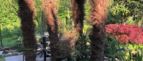 Jardín
