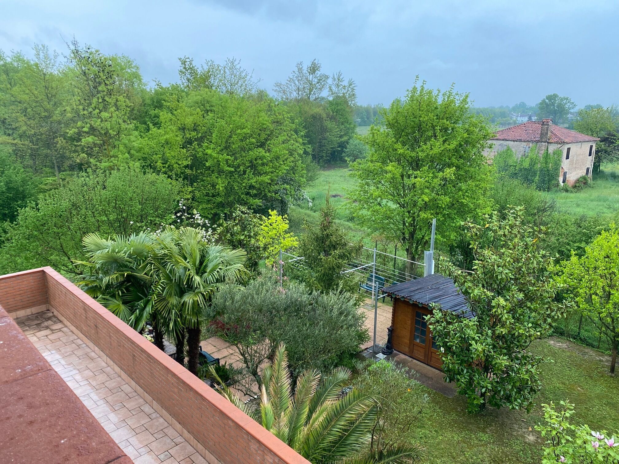 Quadruple Room | Terrace/patio