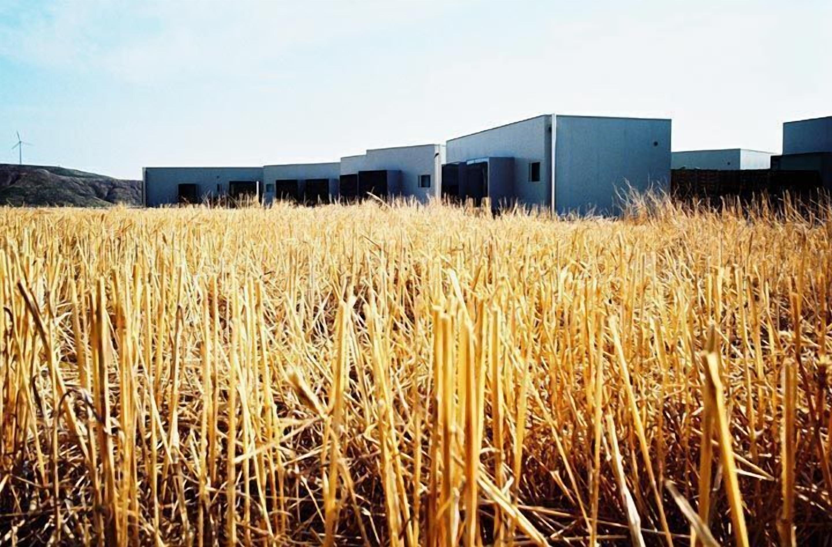Un moderno complejo de edificios con varias estructuras en un campo de trigo dorado.