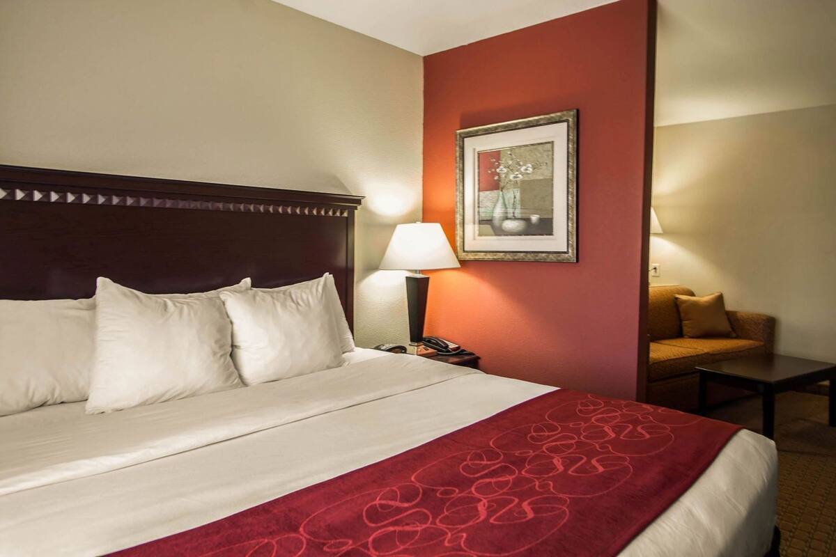 Habitación de hotel con una cama grande, una mesita de noche con lámpara, un cuadro enmarcado en la pared y un sofá.