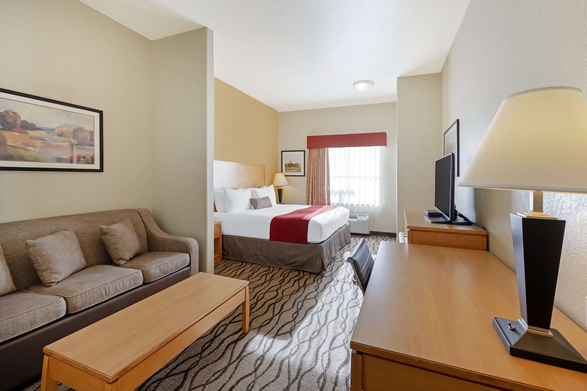 Quarto de hotel com cama, sofá, escrivaninha, televisão e um quadro na parede.