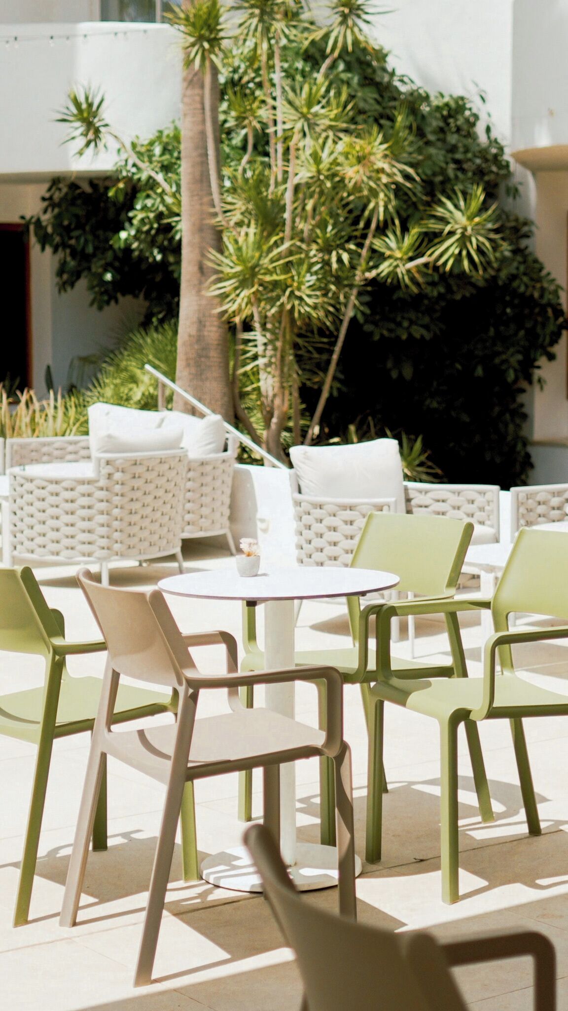 Mobiliario exterior con sillas blancas y verdes, una mesa blanca y una palmera de fondo.
