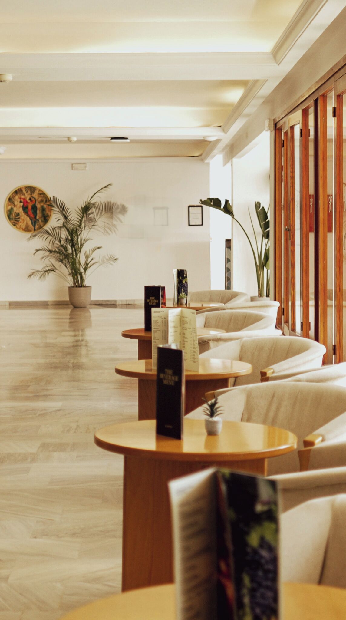 Photo - Sentido Fido Tucan - Adults Only