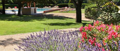 A pool area with lounge chairs, a fenced tennis court, and a garden with lavender and red flowers.