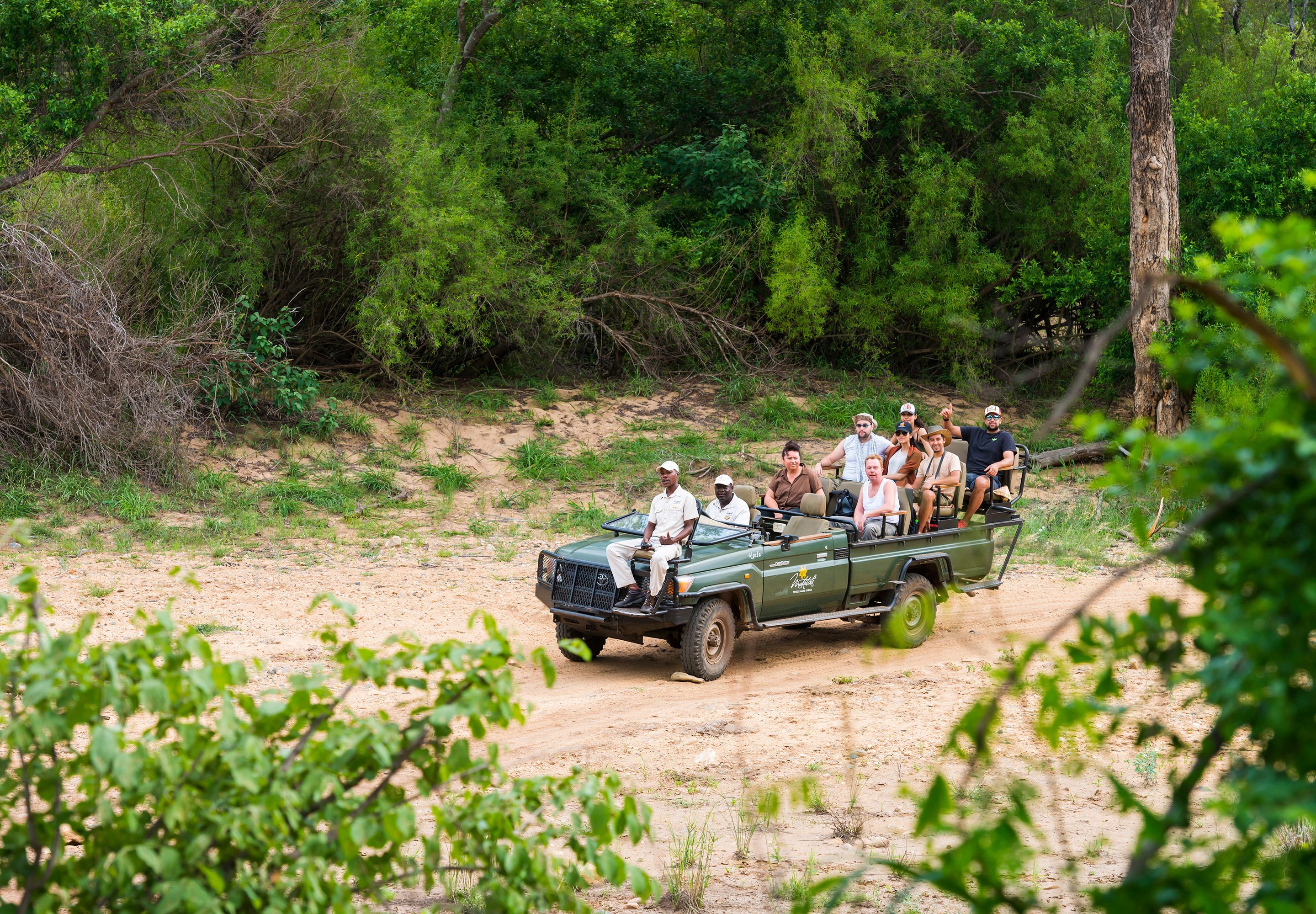 game drive