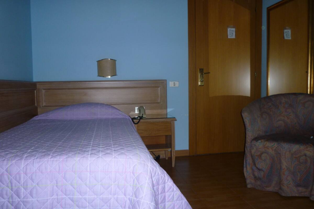 Classic Single Room, 1 Twin Bed | Minibar, WiFi (free)