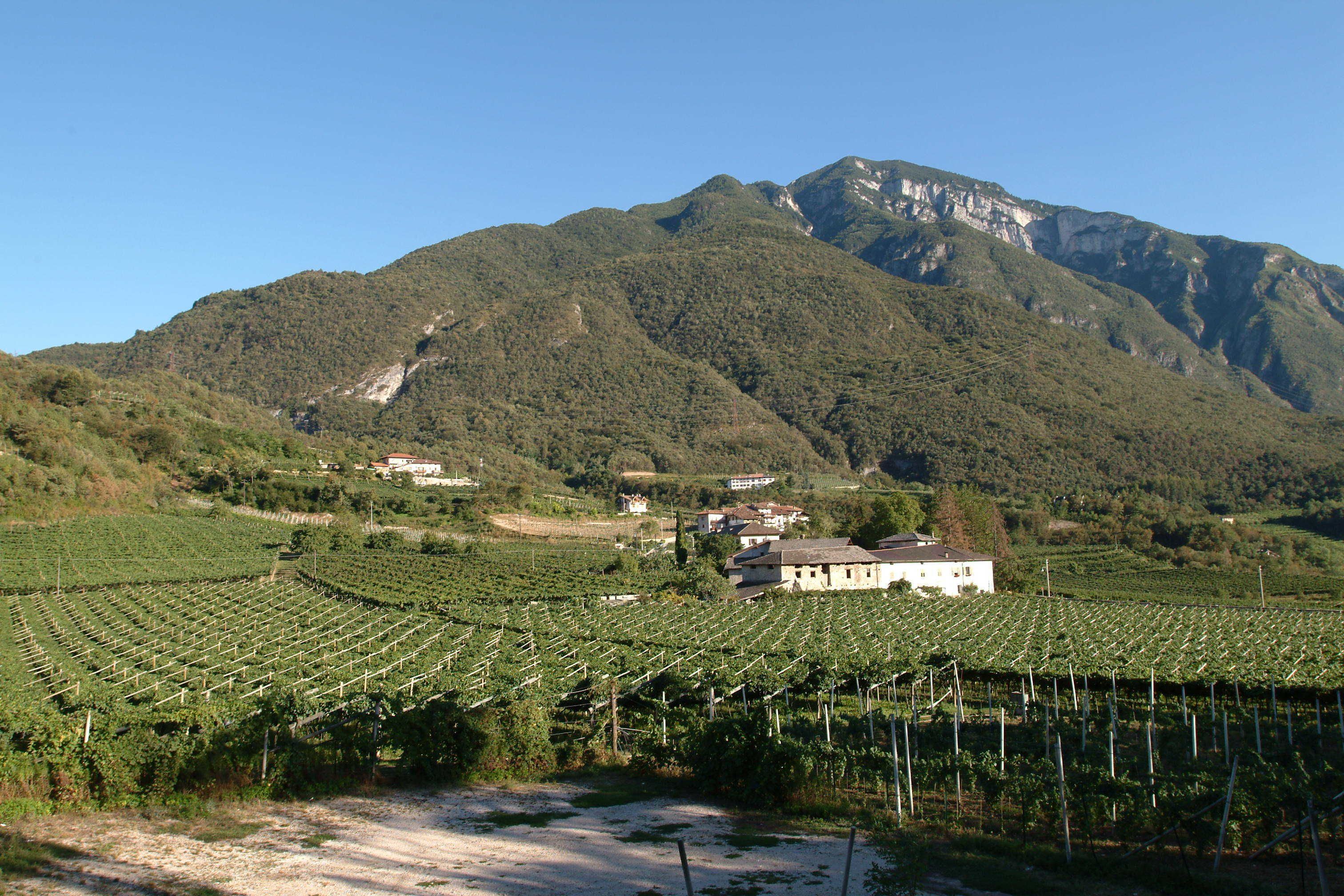 Foto - Villa Bertagnolli - Locanda Del Bel Sorriso