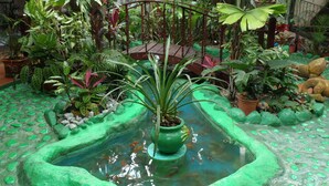 A lush indoor garden with a central pond, surrounded by various plants and a decorative bridge. - Casa Lima Bed & Breakfast (San José)