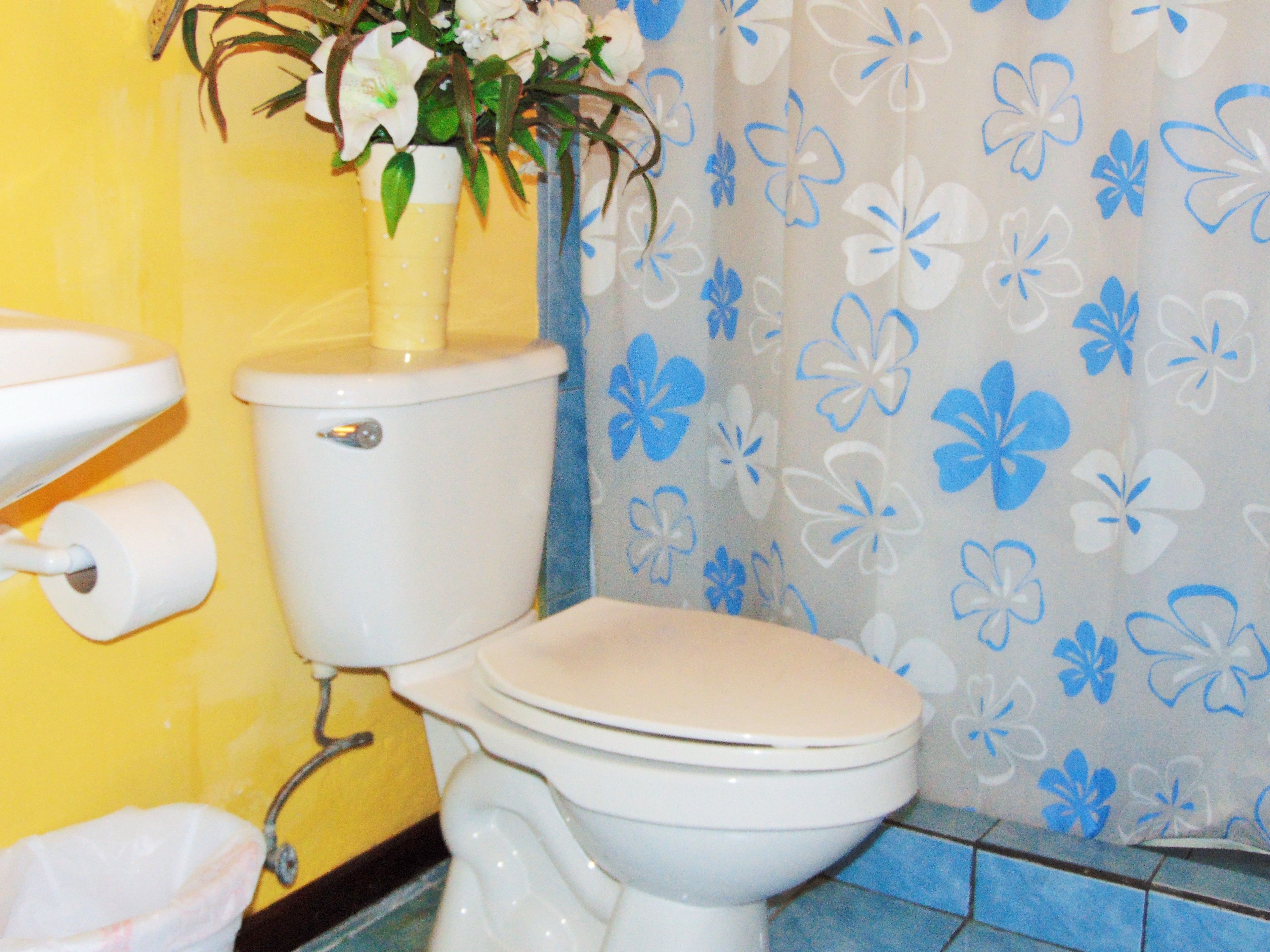 A bathroom with a toilet, a sink, and a shower curtain with a floral pattern.