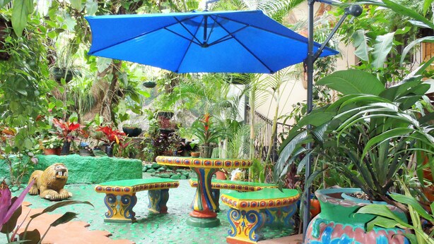 A colorful outdoor seating area with a blue umbrella, surrounded by lush greenery and various potted plants. - Casa Lima Bed & Breakfast (San José)