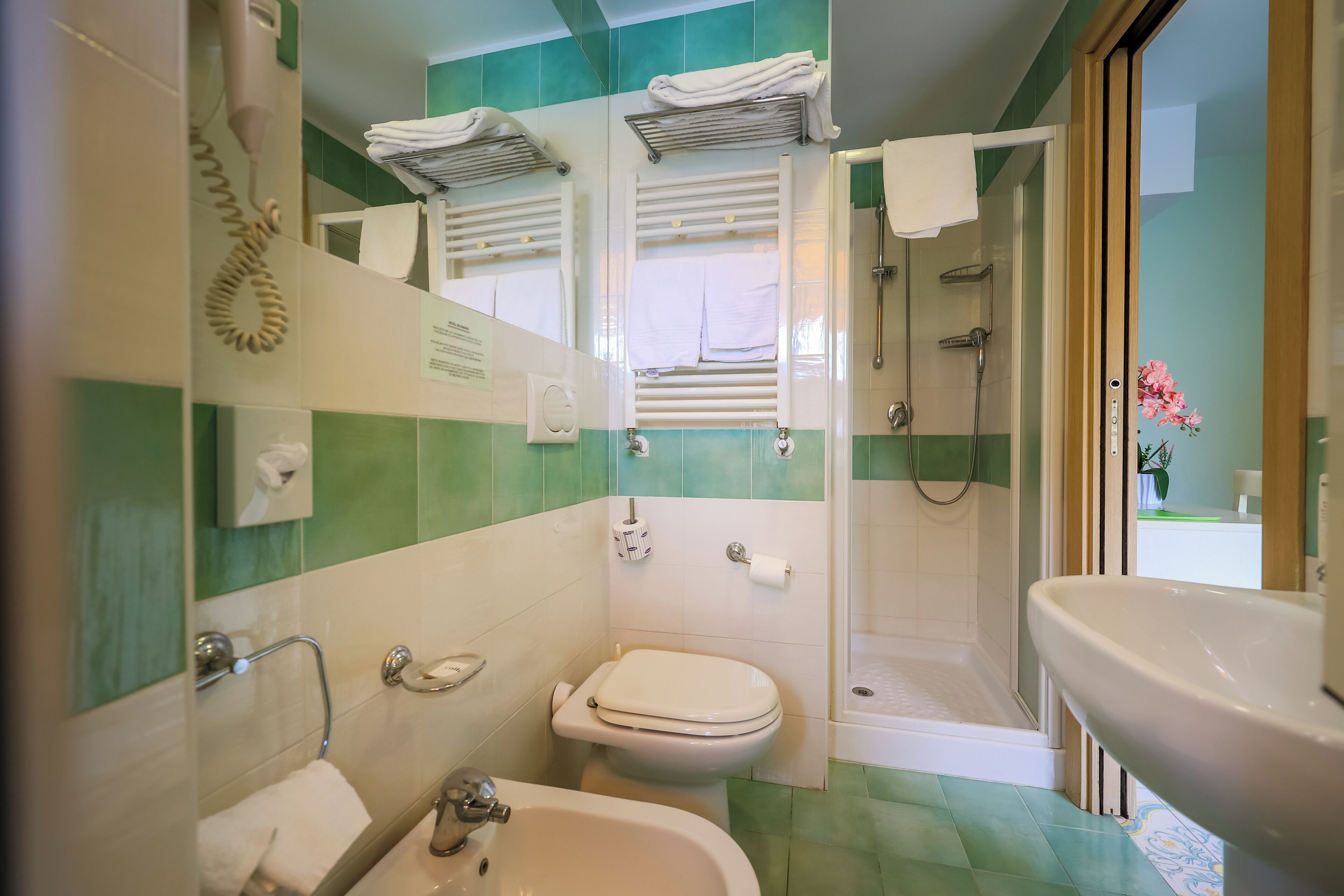 shower, free toiletries, hair dryer, bidet