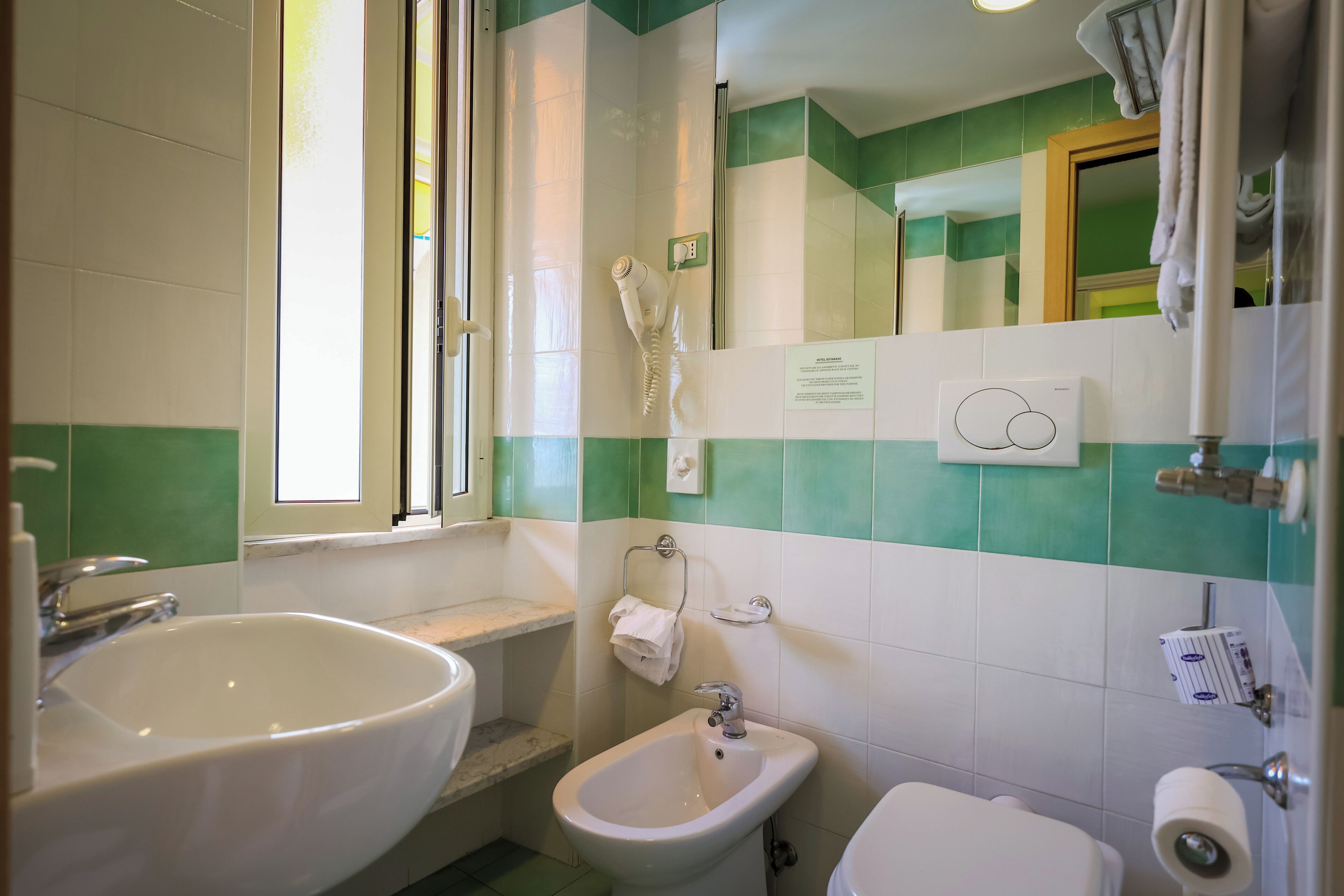 shower, free toiletries, hair dryer, bidet