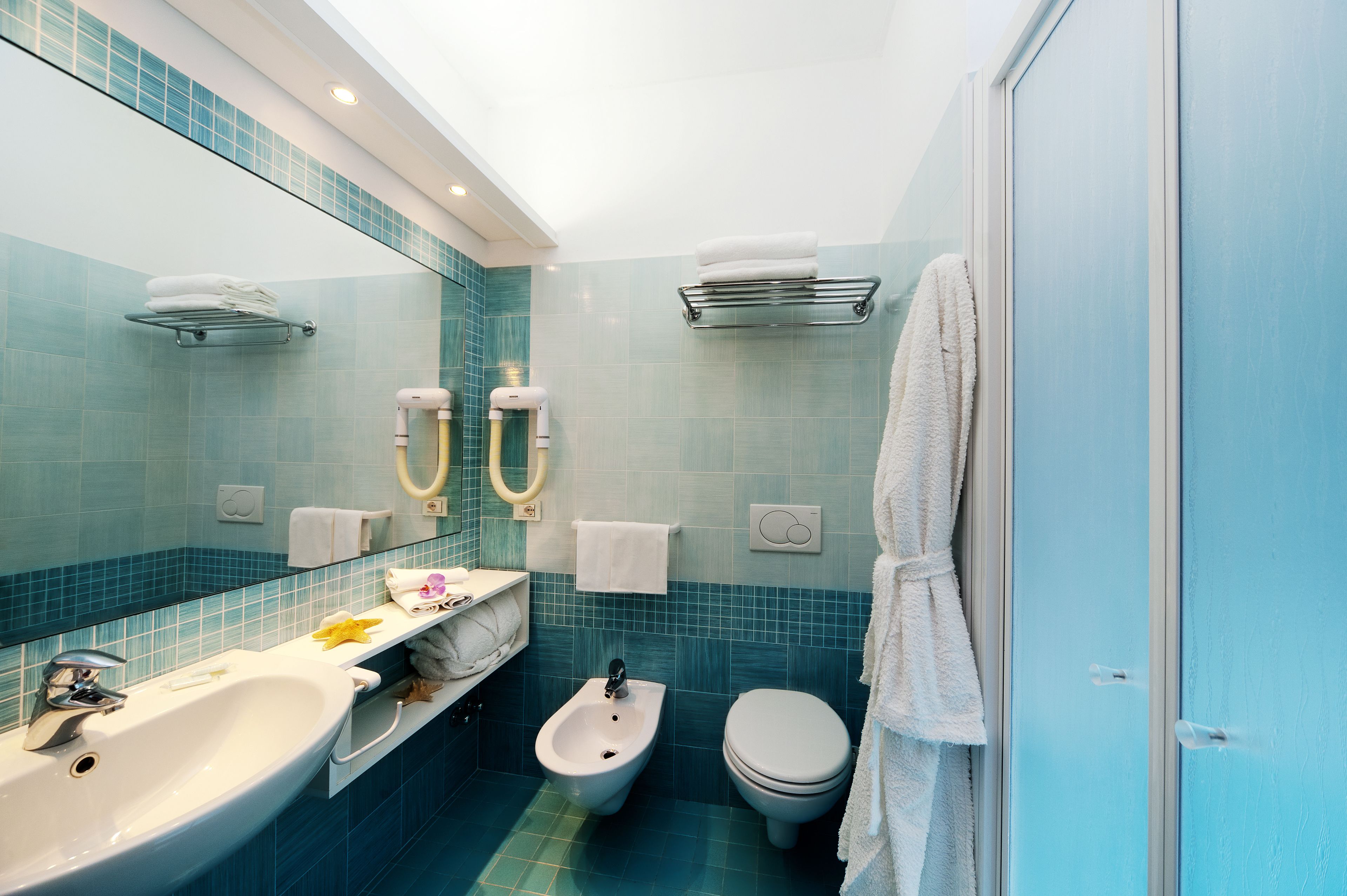 shower, free toiletries, hair dryer, bidet