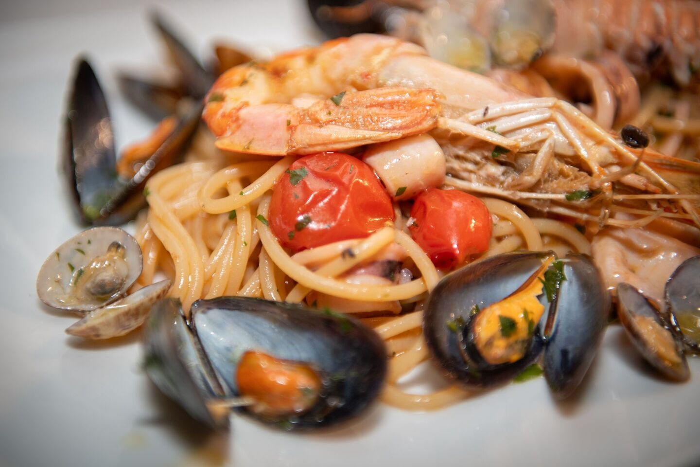 Foto - Hotel Massimino