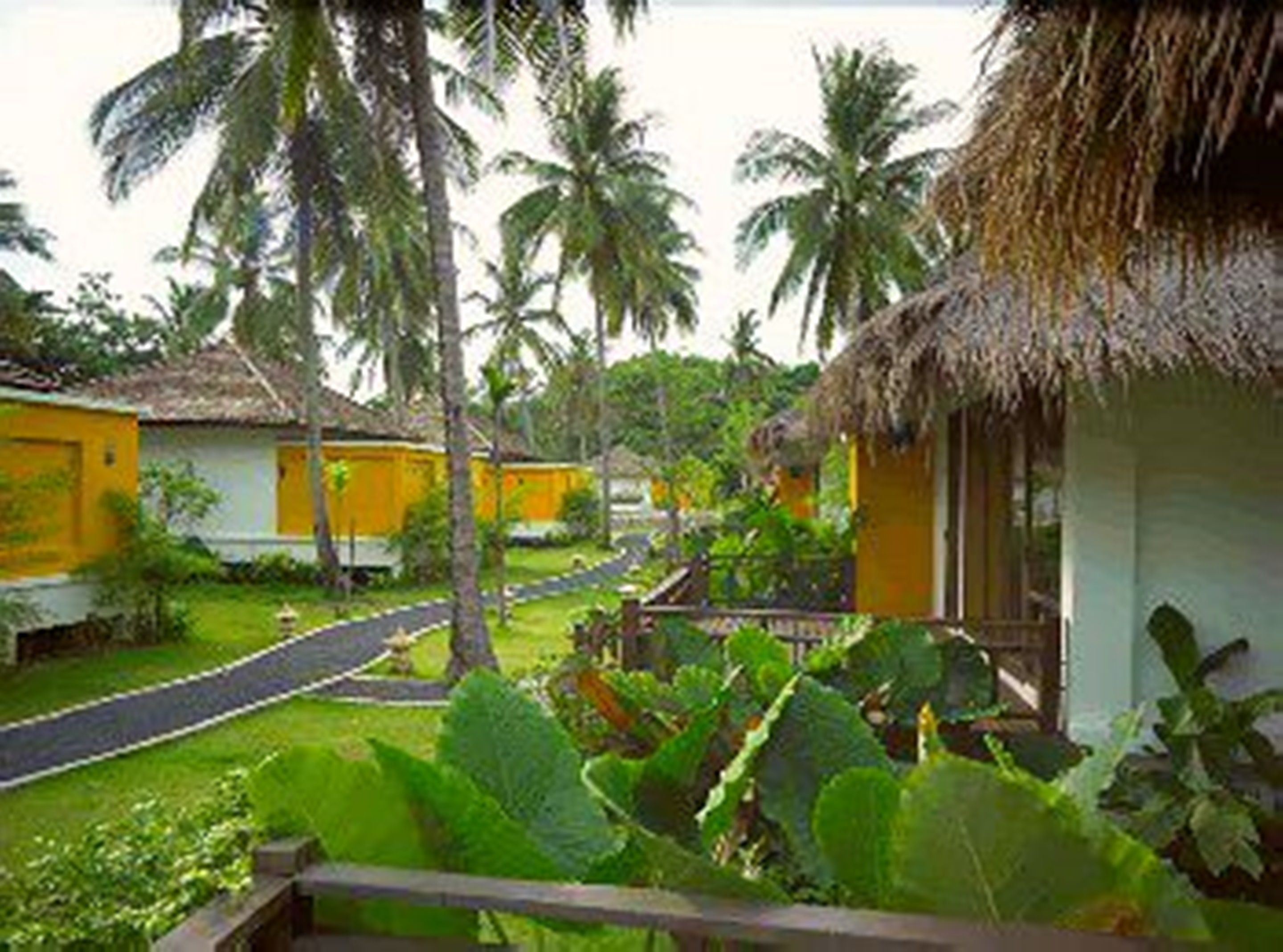 A tropical resort with thatched-roof huts, lush greenery, and a paved pathway.