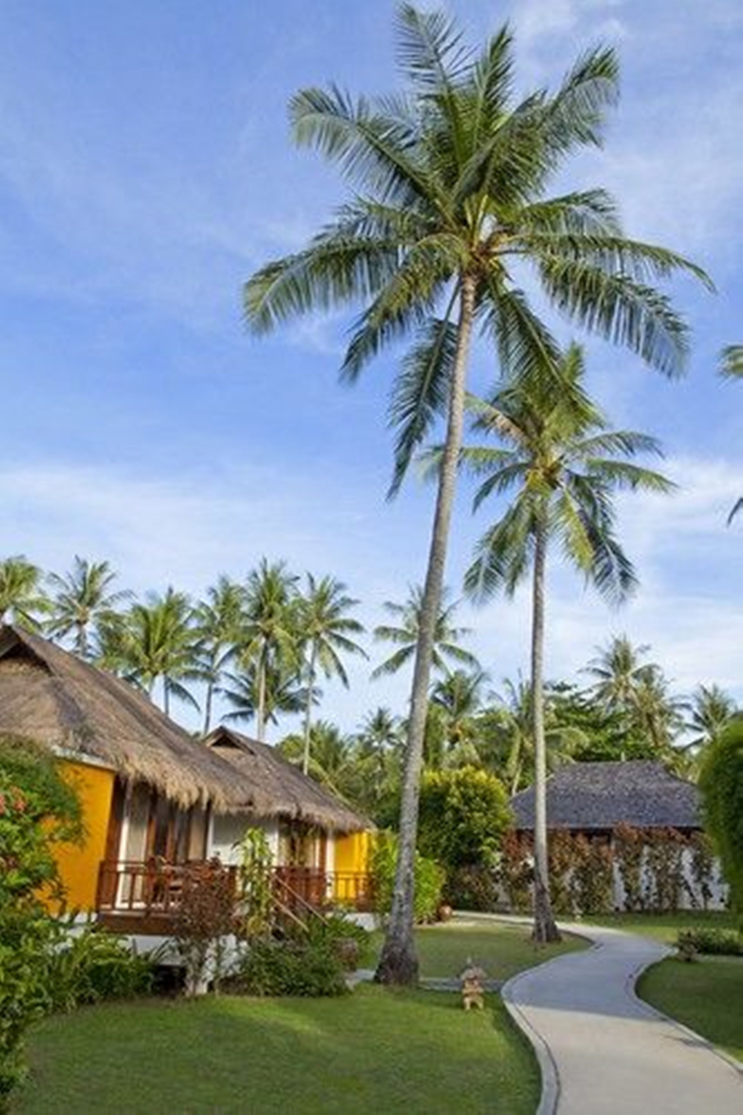 A tropical resort with thatched-roof huts, palm trees, and a paved pathway.