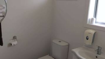 A small bathroom with a toilet, sink, and a mirror.