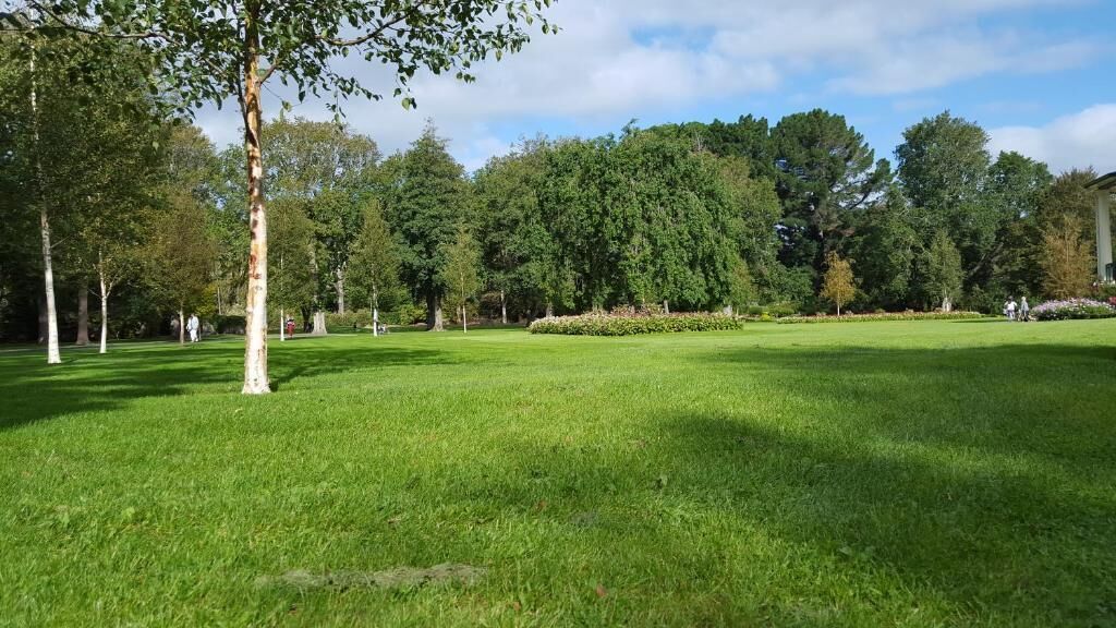 Un área verde bien cuidada con árboles y un edificio al fondo.