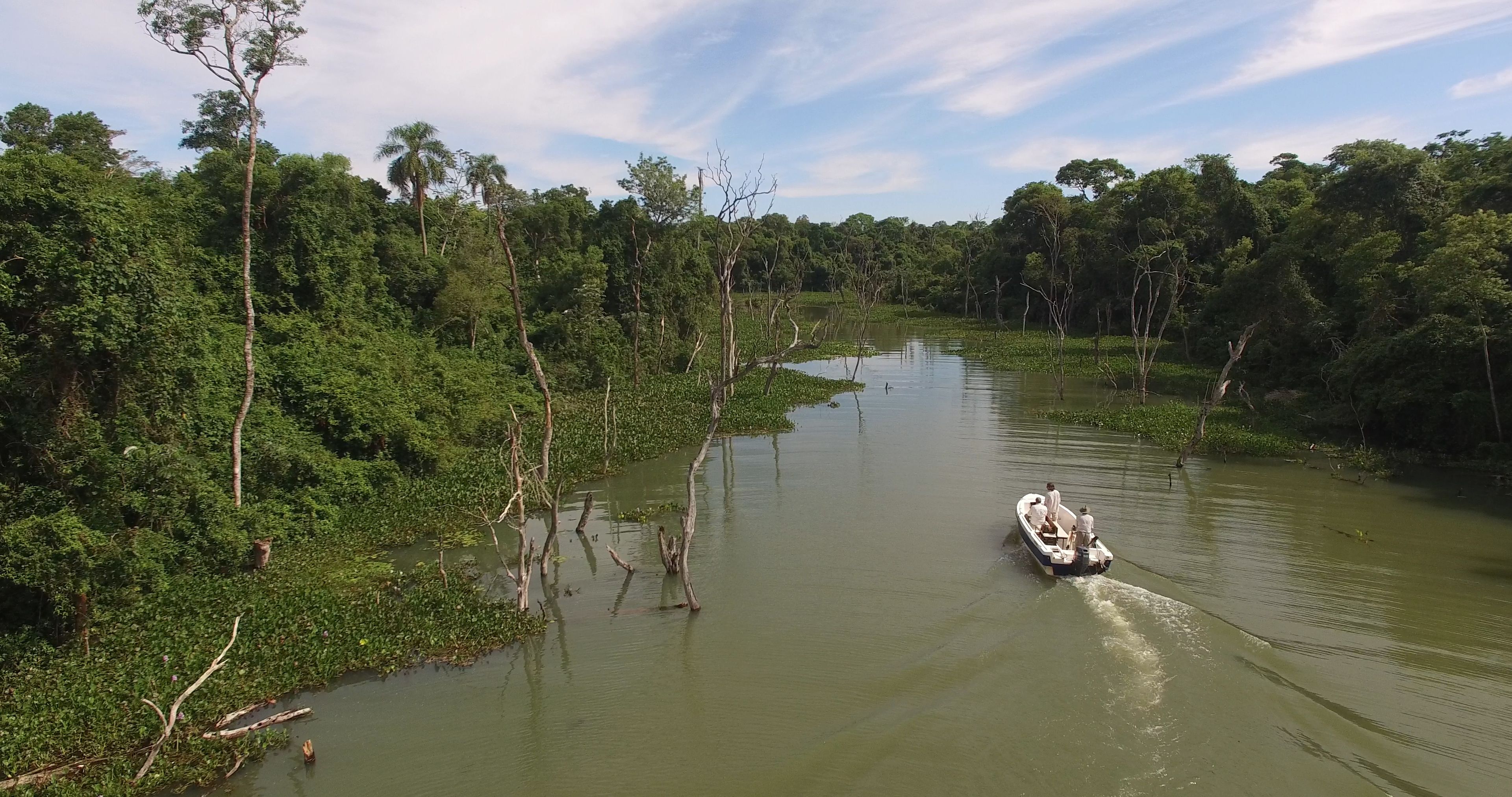 A boat on a river surrounded by dense greenery.