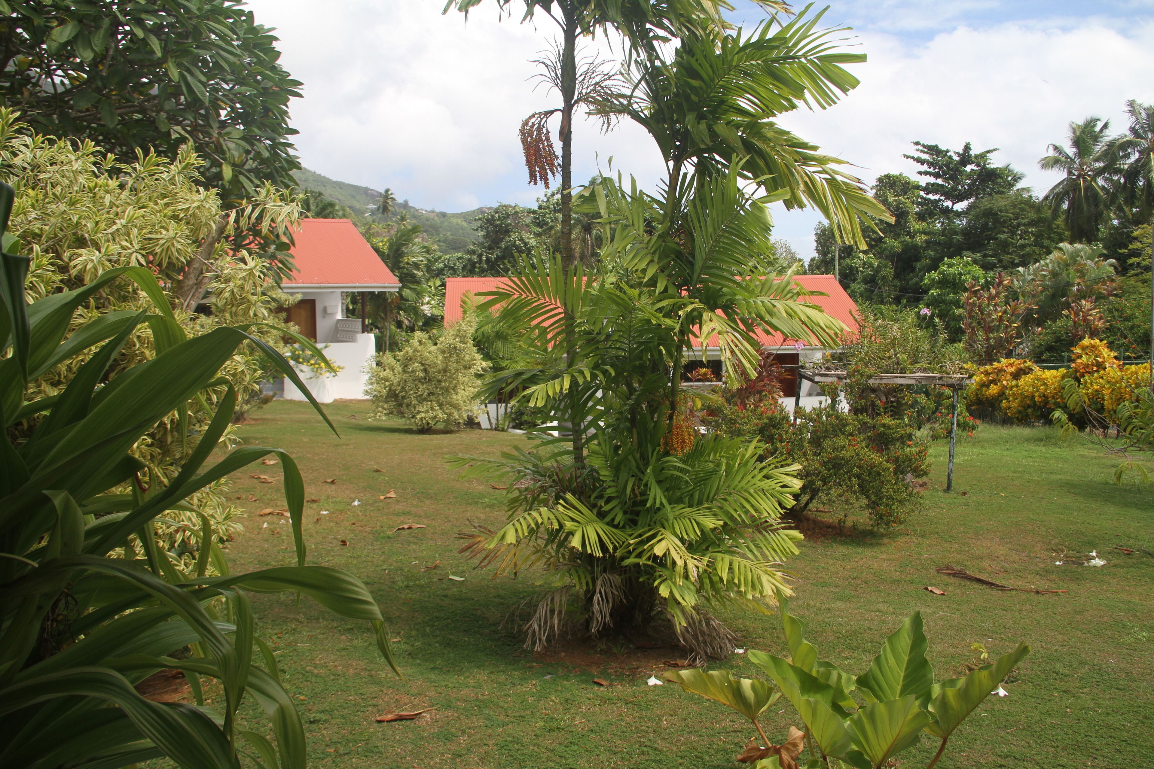 Photo - Daniella's Bungalows