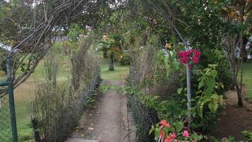 Jardim