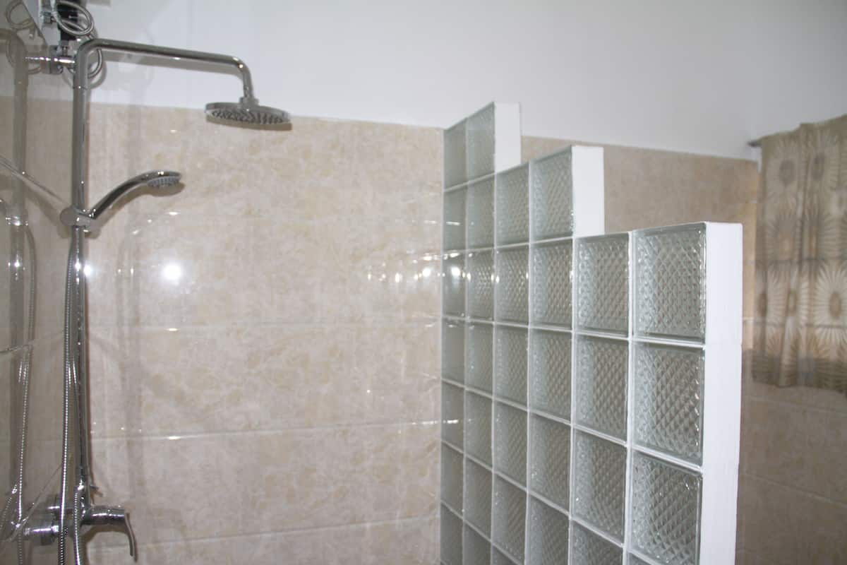 shower, free toiletries, hair dryer, towels