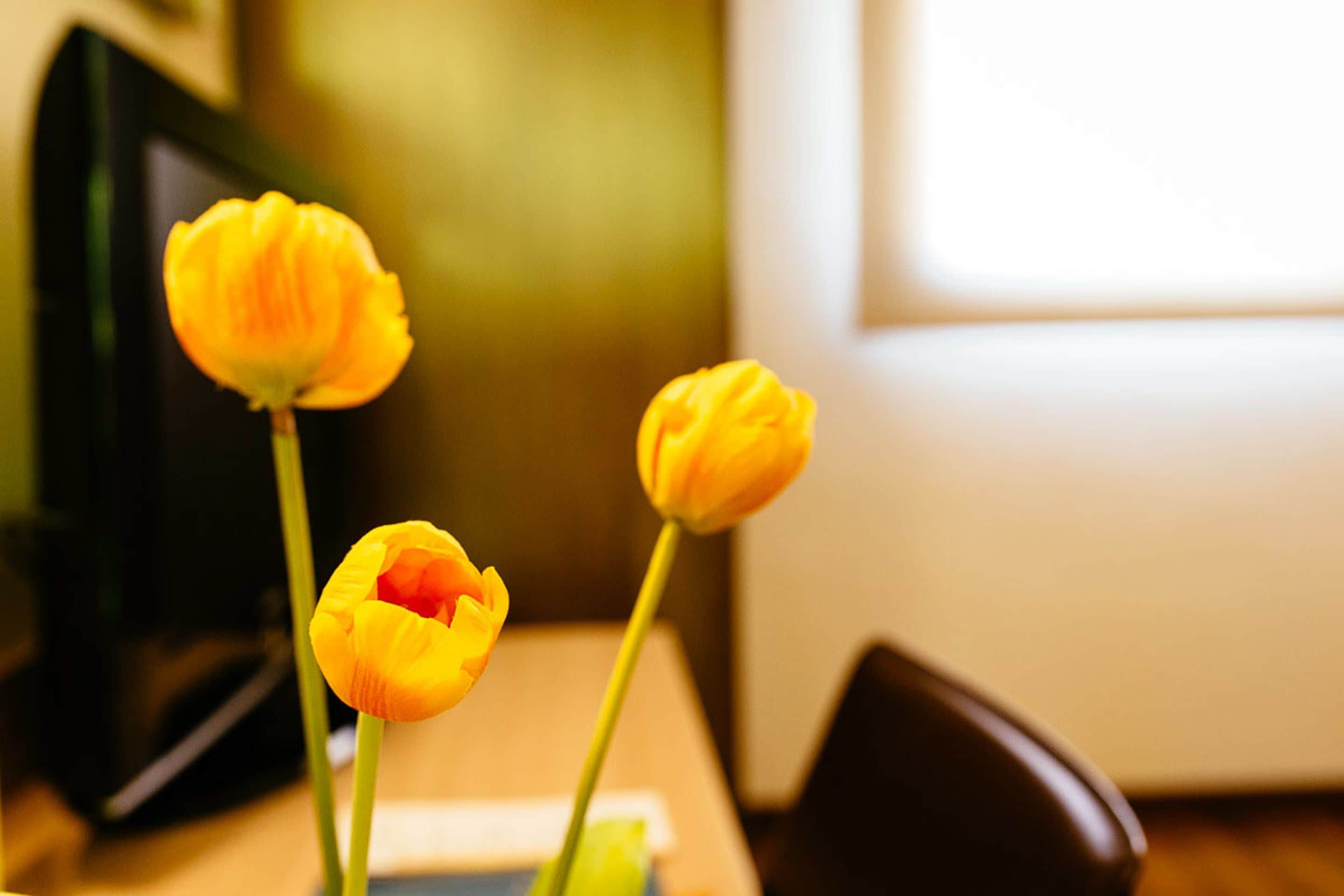 superior room | 1 bedroom, minibar, in-room safe, desk