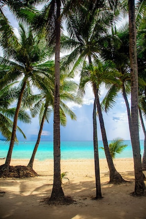 A beach with palm trees and a clear view of the ocean. - Crown Regency Beach Resort (Boracay Island)