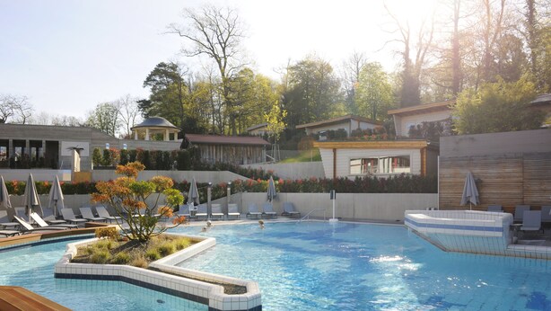 A swimming pool with lounge chairs and a small island with plants.