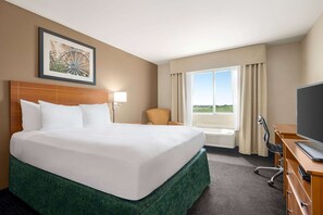 Room, 1 Queen Bed, Non Smoking | Desk, blackout drapes, iron/ironing board, rollaway beds