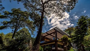 A traditional Japanese-style building with a wooden structure, surrounded by lush greenery and trees. - Loto Azul Resort and Spa (Valle de Bravo)