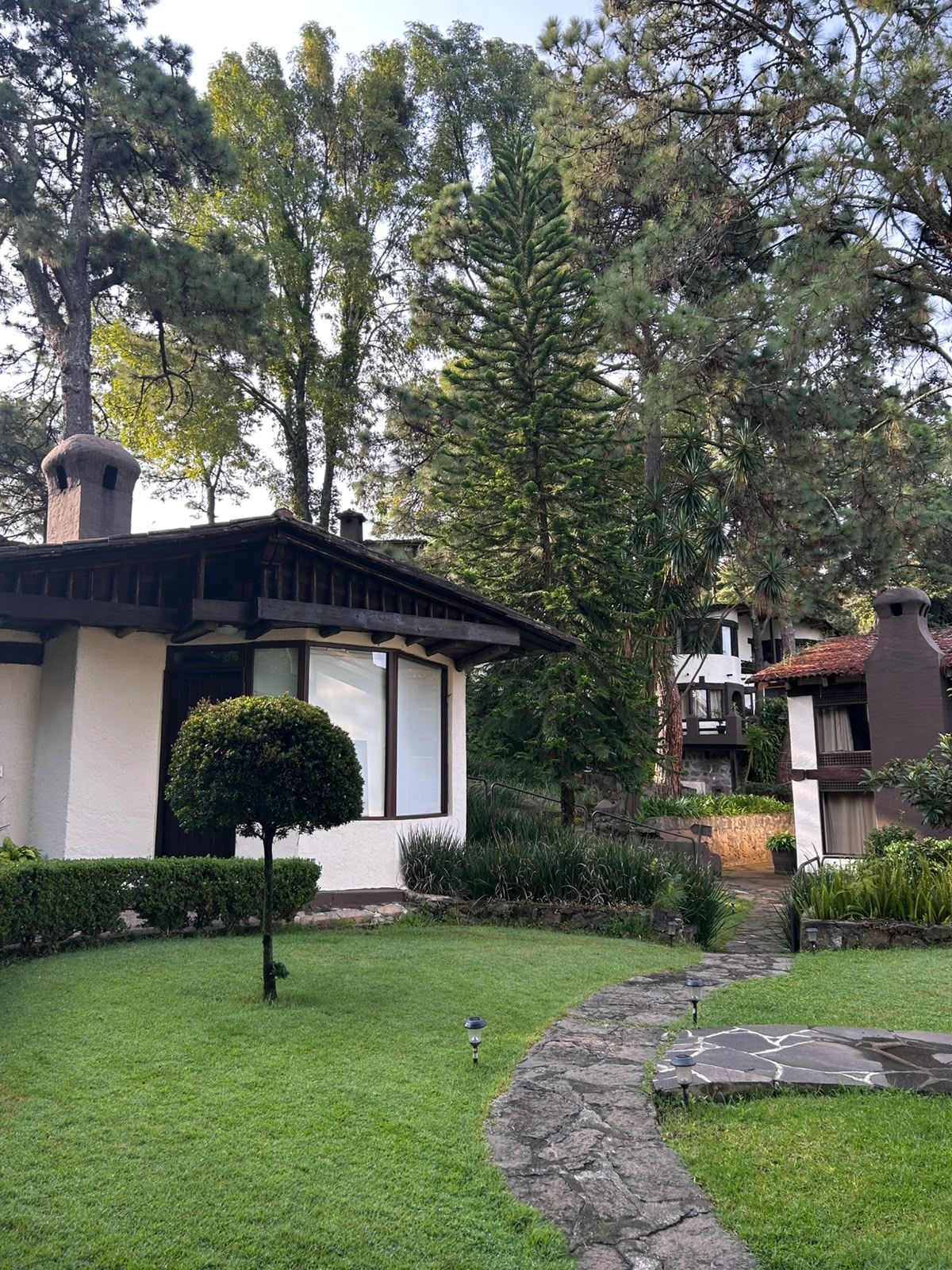 A residential property with a well-maintained lawn, a stone pathway, and a variety of trees and shrubs.