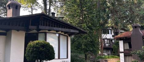 A residential property with a well-maintained lawn, a stone pathway, and a variety of trees and shrubs.